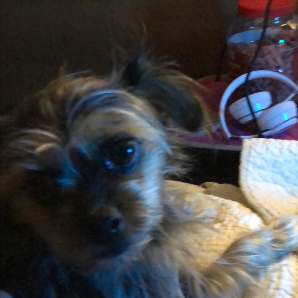 Meet your Posher, Carole